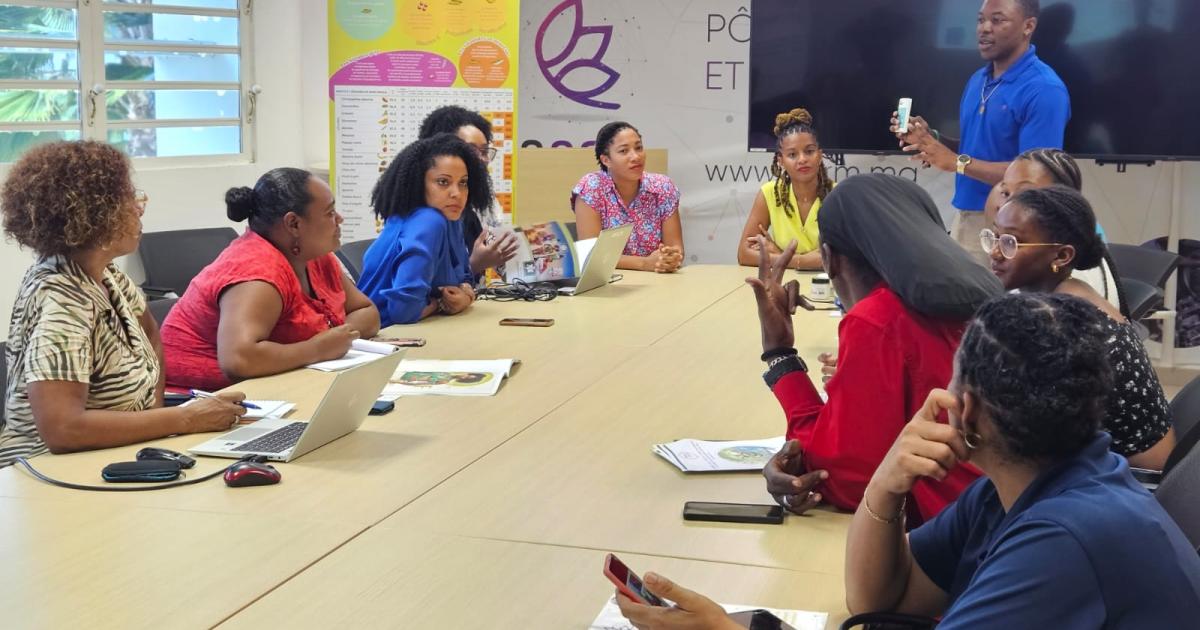 Des chefs d'entreprises dominiquais en visite en Martinique