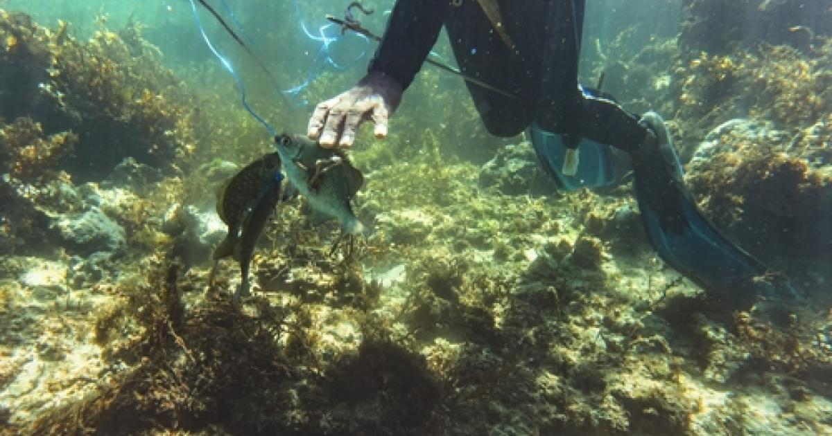 Un pêcheur sous-marin porté disparu à Sainte-Anne