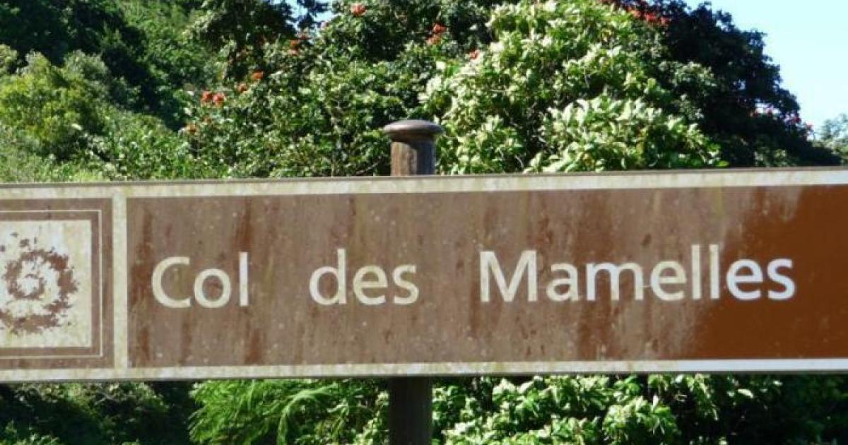 Les agents du Parc national mobilisés sur le 73ème Tour cycliste de la Guadeloupe