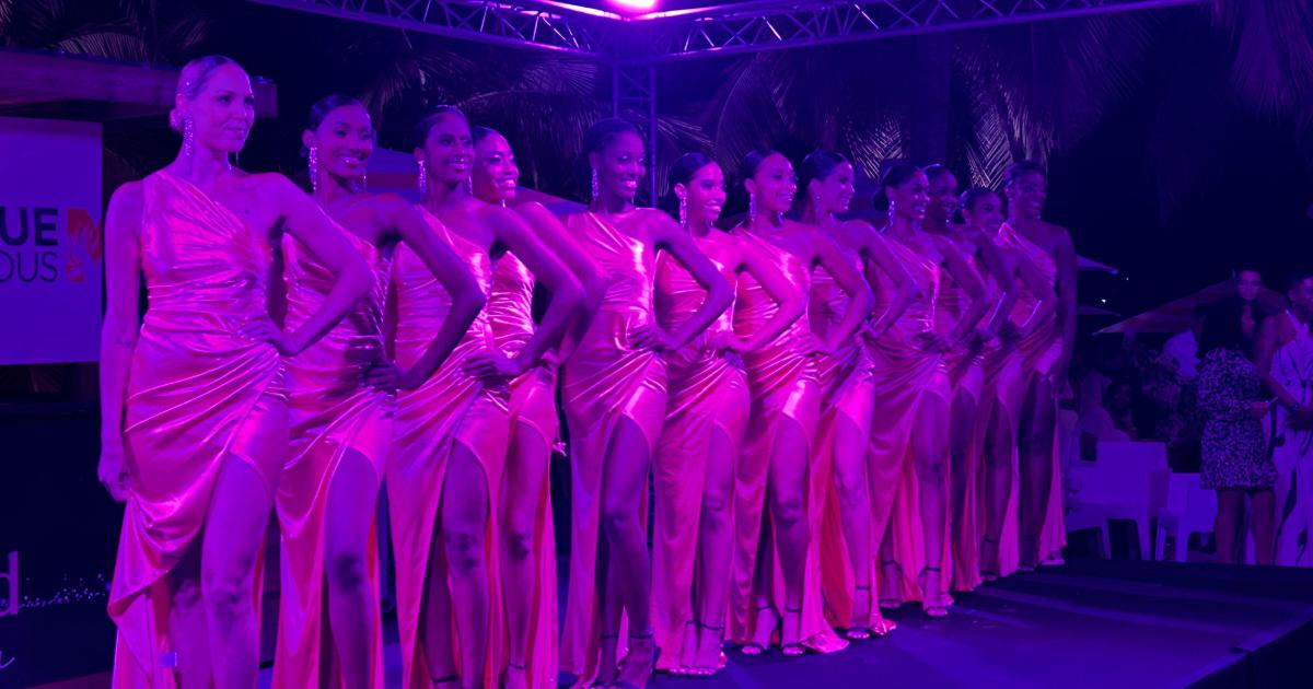 Miss Martinique 2024 : Découvrez les 12 prétendantes à la couronne