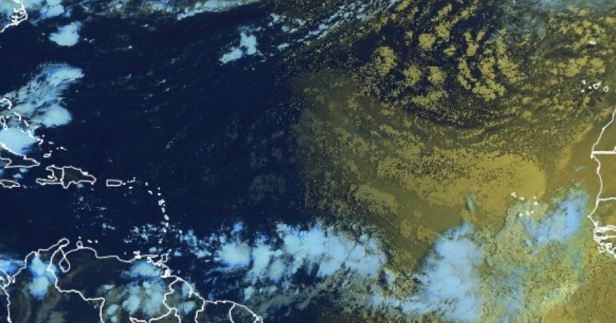 Deux ondes tropicales sous surveillance pourraient concerner les Antilles la semaine prochaine