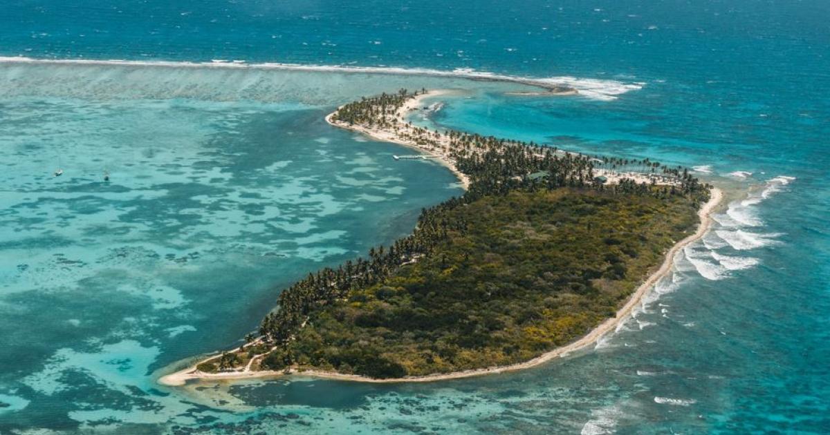     





Une adolescente victime d’une attaque de requin au Bélize




