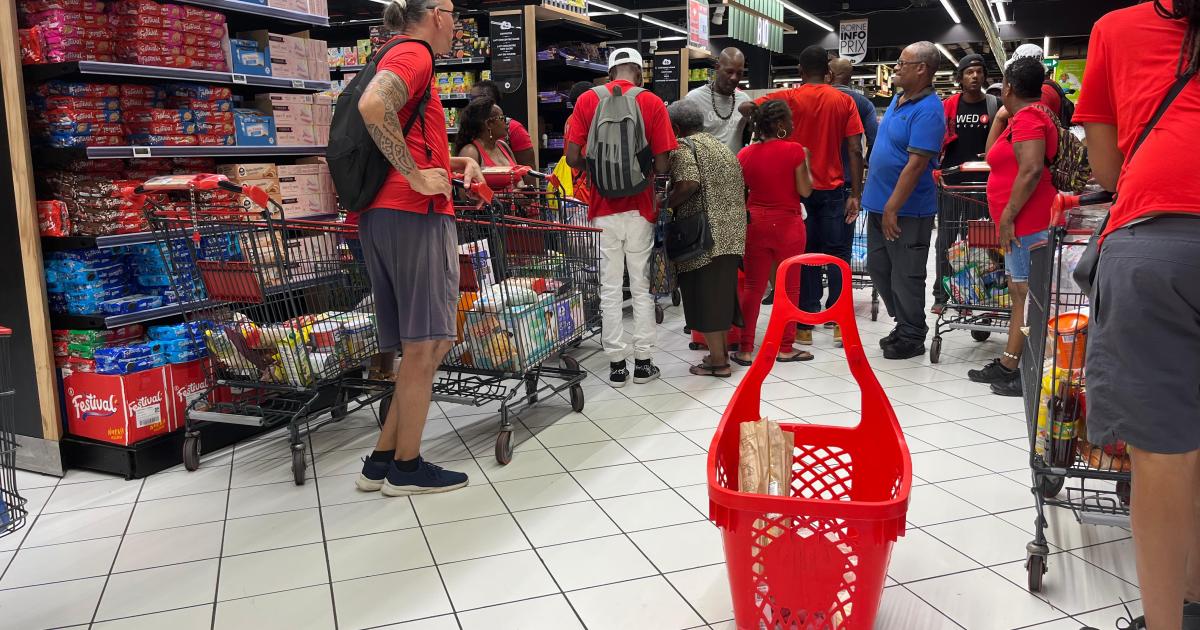     





Vie chère : le RPPRAC mène une opération dans l'hypermarché de Dillon




