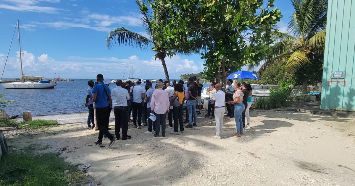Les élus de la CARL en visite à Sainte-Anne pour un « port plus fonctionnel »