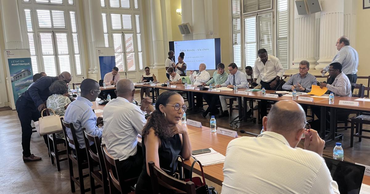 « Mission flash » en Martinique : les experts fiscalistes et financiers examinent les propositions pour baisser les prix