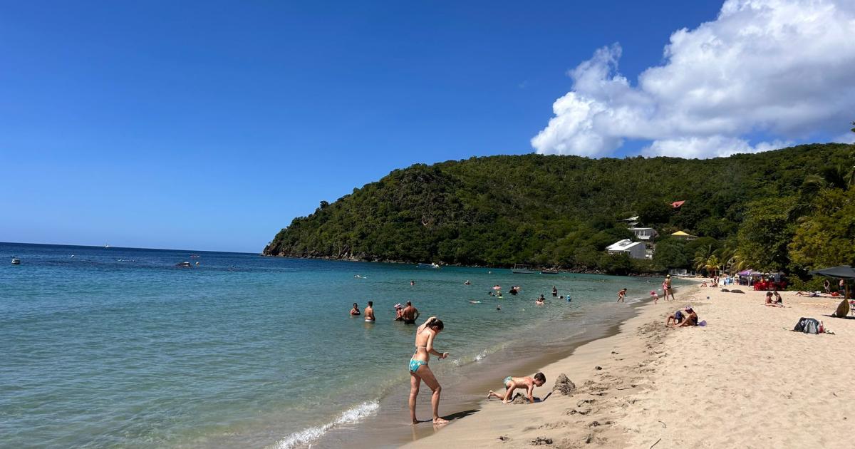 La baignade de nouveau autorisée aux Anses d'Arlet, les méduses sont parties