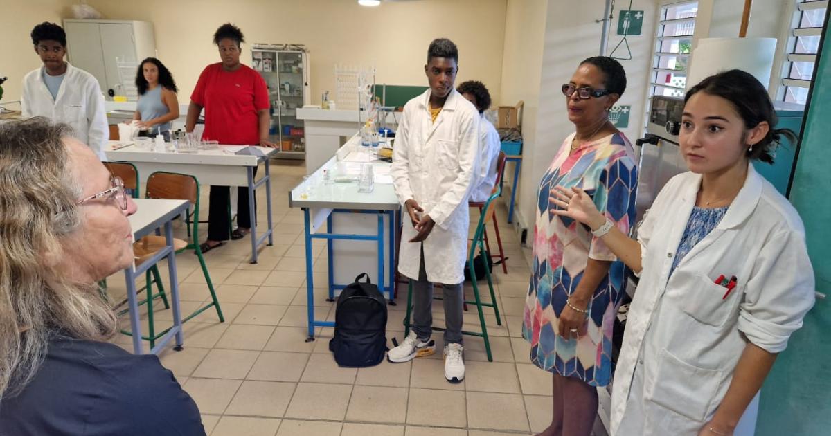Ecole ouverte à La Toussaint : des « stages de réussite » au lycée Charles Coeffin