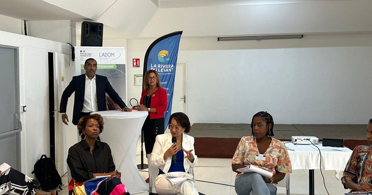 Un séminaire organisé par LADOM pour mieux accompagner les Guadeloupéens dans la mobilité