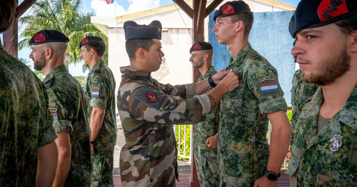 Les forces néerlandaises et trinidadiennes récompensées pour leur entraînement avec le 33e RIMa
