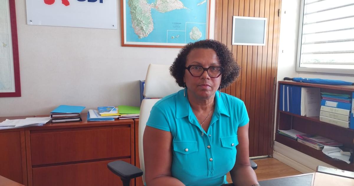    





[Vidéo] EDF Archipel : la direction explique les raisons du black-out actuel





