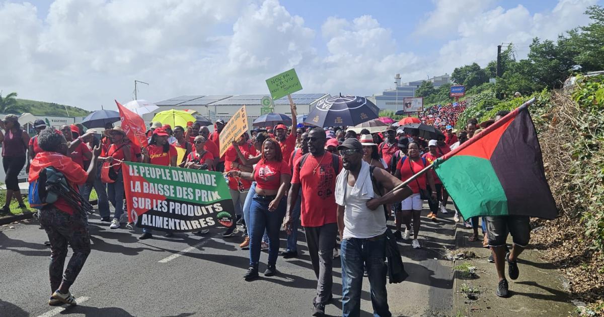Une marche contre la vie chère menée par le RPPRAC et des organisations syndicales